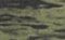 A TACS FGX
